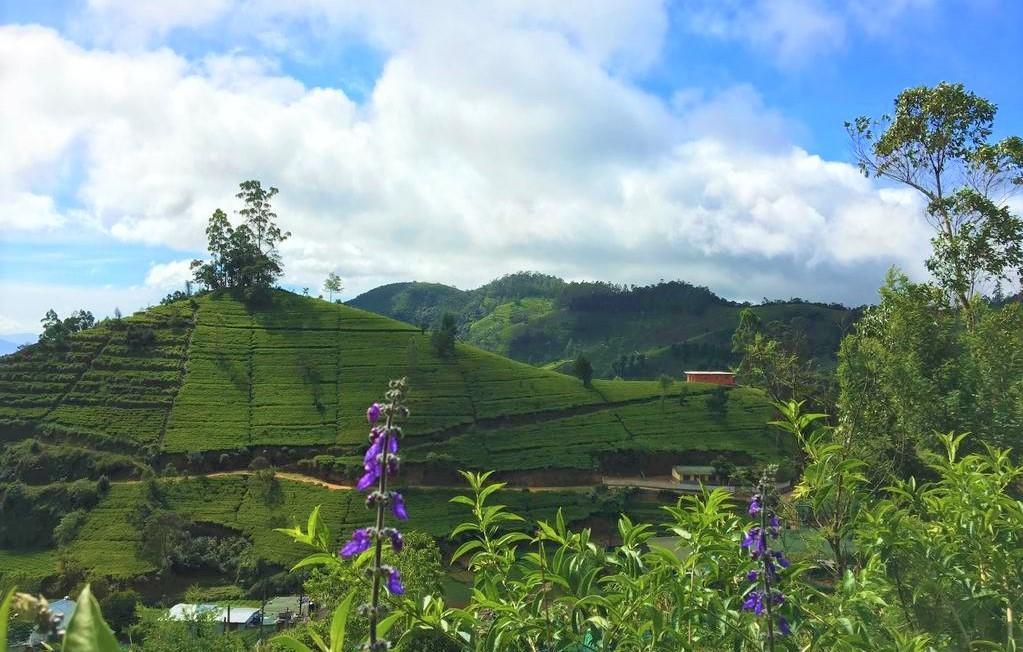Winter Dream Holiday Bungalow Nuwara Eliya Exterior foto